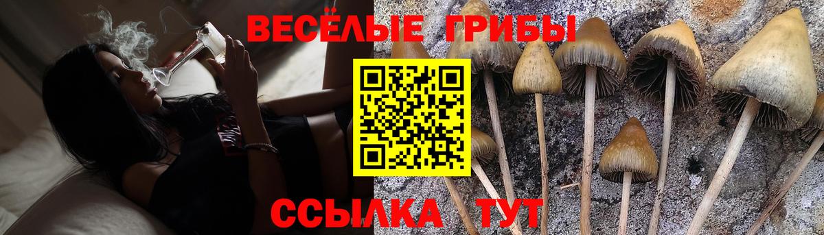 Галлюциногенные грибы мицелий  Вход с VPN  Нижнеудинск 