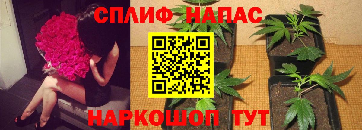 Каннабис гибрид  МАРИХУАНА сатива  Вход с VPN  Бошки марихуана AK-47  Бошки Шишки индика  Нижнеудинск 
